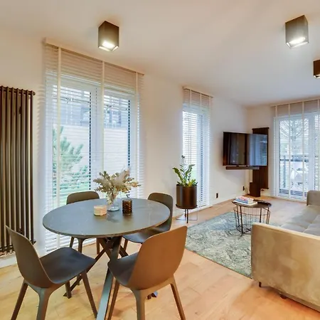 Deluxe Black Orchid Baltic Concept ジビジノ