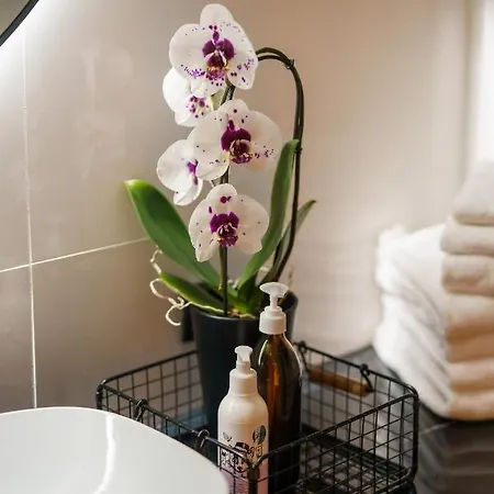 Deluxe Black Orchid Baltic Concept