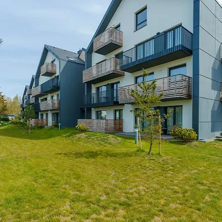 Deluxe Black Orchid Baltic Concept ジビジノ