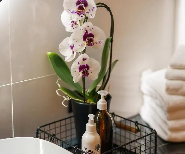 Deluxe Black Orchid Baltic Concept